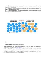 Konspekts 'Cell Membrane Transport', 4.
