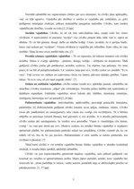 Referāts 'Pircēju vajadzību izzināšana SIA "Antaris" uzņēmumā', 5.