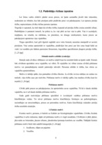 Referāts 'Pircēju vajadzību izzināšana SIA "Antaris" uzņēmumā', 6.