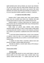 Diplomdarbs 'Jauna pakalpojuma ieviešana SEB Unilīzingā', 16.