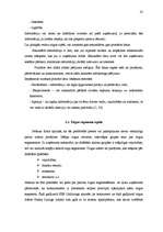 Diplomdarbs 'Jauna pakalpojuma ieviešana SEB Unilīzingā', 33.