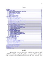 Diplomdarbs 'Uzņēmuma konkurētspējas paaugstināšanas projekts', 7.