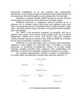 Diplomdarbs 'Uzņēmuma konkurētspējas paaugstināšanas projekts', 15.