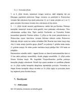 Referāts 'Kurskas kauja', 17.