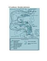 Referāts 'Kurskas kauja', 20.