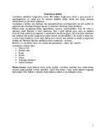 Konspekts 'Gremošanas sistēma', 1.