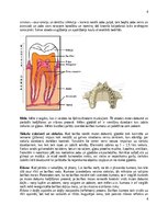 Konspekts 'Gremošanas sistēma', 4.