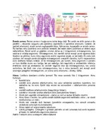 Konspekts 'Gremošanas sistēma', 8.