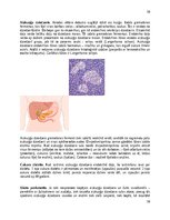 Konspekts 'Gremošanas sistēma', 10.