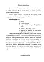 Konspekts 'Ugunsgrēku dzēšana slimnīcās, bērnu iestādēs un skolās. Ugunsgrēka izlūkošana. K', 3.