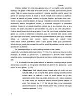 Referāts 'Ģimene', 3.