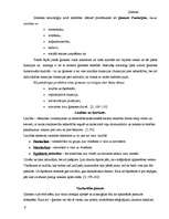 Referāts 'Ģimene', 9.