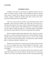 Referāts 'Ķīnas arheoloģija', 6.