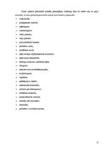 Referāts 'Kreativitāte kā mācību procesa sastāvdaļa', 6.