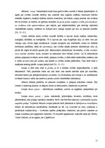 Referāts 'Kreativitāte kā mācību procesa sastāvdaļa', 11.