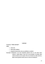 Referāts 'Kreativitāte kā mācību procesa sastāvdaļa', 40.