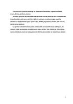 Referāts 'Retorika', 8.