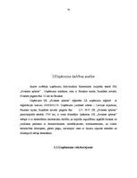 Diplomdarbs 'IK "Svitenes aptieka" darbības analīze un attīstības iespējas', 16.