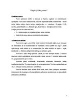 Referāts 'Puravi', 8.