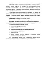 Diplomdarbs 'Preču plūsmas optimizācijas modeļi mārketinga aspektā SIA "Rimi Latvia"', 8.