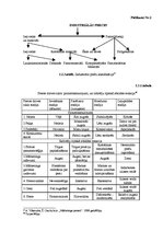 Diplomdarbs 'Preču plūsmas optimizācijas modeļi mārketinga aspektā SIA "Rimi Latvia"', 61.