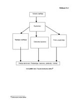 Diplomdarbs 'Preču plūsmas optimizācijas modeļi mārketinga aspektā SIA "Rimi Latvia"', 62.