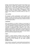 Konspekts 'Singapūra', 2.