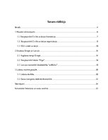 Referāts 'Lidostu nozīme starptautisko lidojumu organizēšanā', 3.