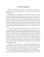 Referāts 'Lidostu nozīme starptautisko lidojumu organizēšanā', 6.