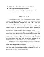 Referāts 'Lidostu nozīme starptautisko lidojumu organizēšanā', 10.