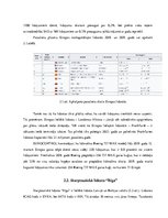 Referāts 'Lidostu nozīme starptautisko lidojumu organizēšanā', 16.