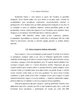 Referāts 'Lidostu nozīme starptautisko lidojumu organizēšanā', 22.