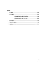 Referāts 'Spānijas glezniecība 17.gadsimtā, spilgtākās personības', 2.