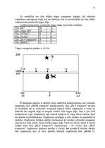 Referāts 'Uzņēmuma SIA „DLV transports” mārketinga vides un stratēģijas analīze un darbība', 12.