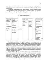 Referāts 'Uzņēmuma SIA „DLV transports” mārketinga vides un stratēģijas analīze un darbība', 21.