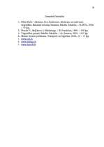 Referāts 'Uzņēmuma SIA „DLV transports” mārketinga vides un stratēģijas analīze un darbība', 29.