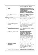 Referāts 'Uzņēmuma SIA „DLV transports” mārketinga vides un stratēģijas analīze un darbība', 34.