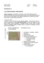 Paraugs 'RSU 1.Psiholoģija Bioloģija un ģenētika, Protokols nr. 2', 1.