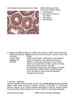 Paraugs 'RSU 1.Psiholoģija Bioloģija un ģenētika, Protokols nr. 2', 3.