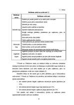 Referāts 'Reklāmas loma preces virzīšanas sistēmā', 20.