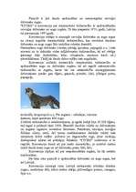 Konspekts 'Savvaļas sugas', 3.