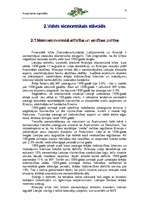 Referāts 'Mārketinga plāns a/s "Hansabanka" - Latvija', 6.