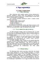 Referāts 'Mārketinga plāns a/s "Hansabanka" - Latvija', 12.