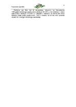 Referāts 'Mārketinga plāns a/s "Hansabanka" - Latvija', 15.