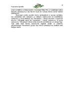 Referāts 'Mārketinga plāns a/s "Hansabanka" - Latvija', 19.