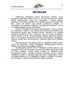 Referāts 'Mārketinga plāns a/s "Hansabanka" - Latvija', 23.