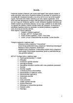 Referāts 'Pētījums par augstskolām Kurzemes reģionā', 2.