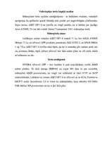 Referāts 'Mātes plates AMD procesoriem', 23.