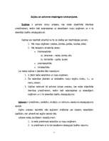 Referāts 'Sajūtas un uztvere', 2.