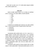 Referāts 'Sajūtas un uztvere', 3.